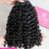 burmese curly