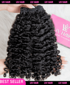 burmese curly