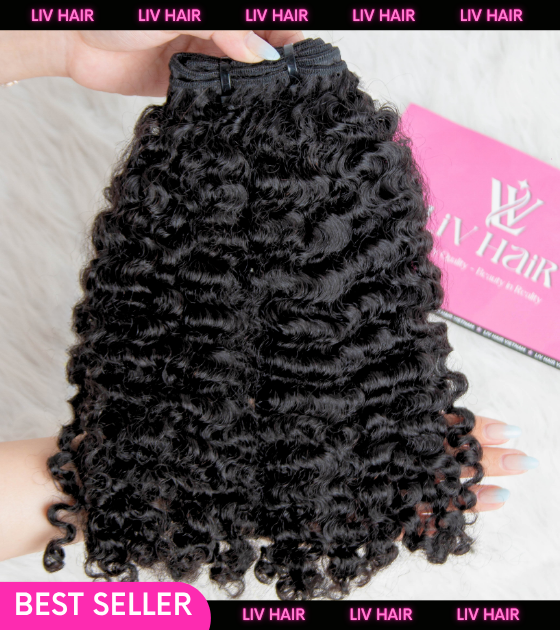 burmese curly